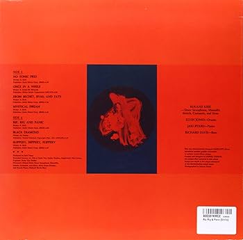 Amazon.co.jp: Rip Rig & Panic [Analog]: ミュージック